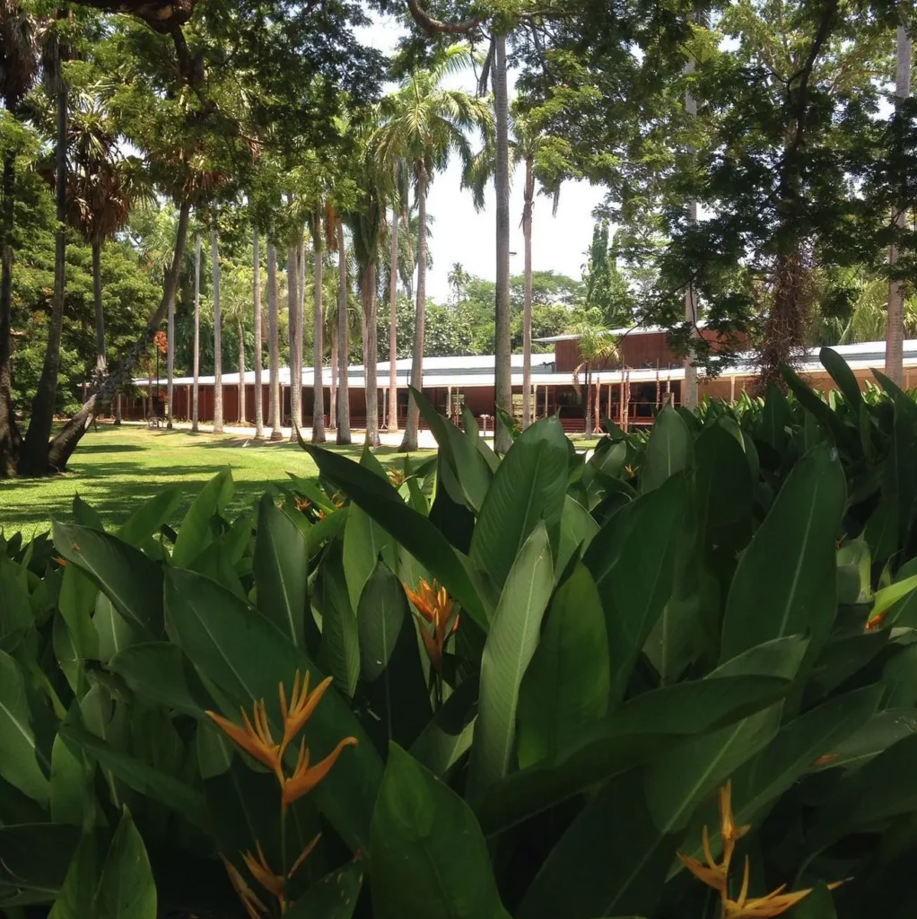 George Brown Darwin Botanic Gardens