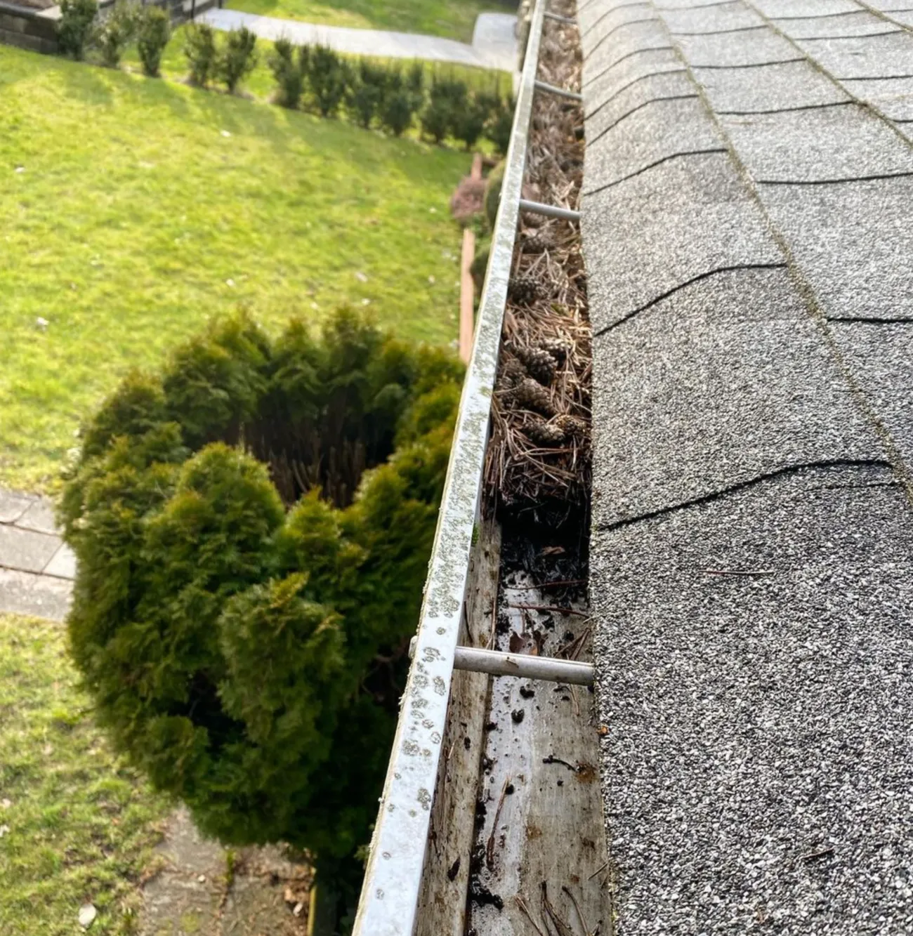 How Often Should You Clean Your Gutters