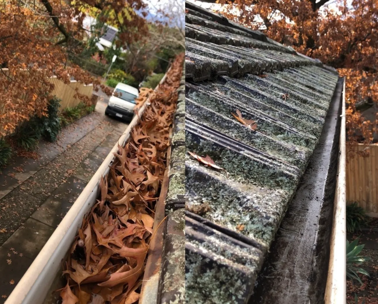 Gutter Cleaning for Fall: Preparing Your Home for the Rainy Season