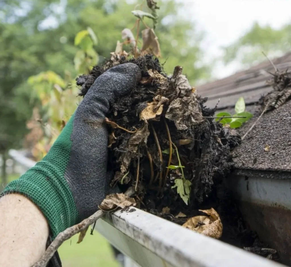 Gutter Cleaning for Heavy Rain and Wet Season