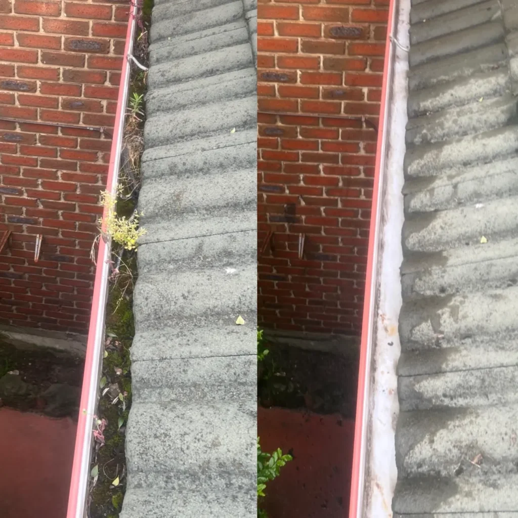 Gutter Maintenance Tasks