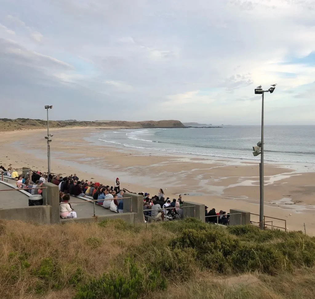 Phillip Island Nature Parks