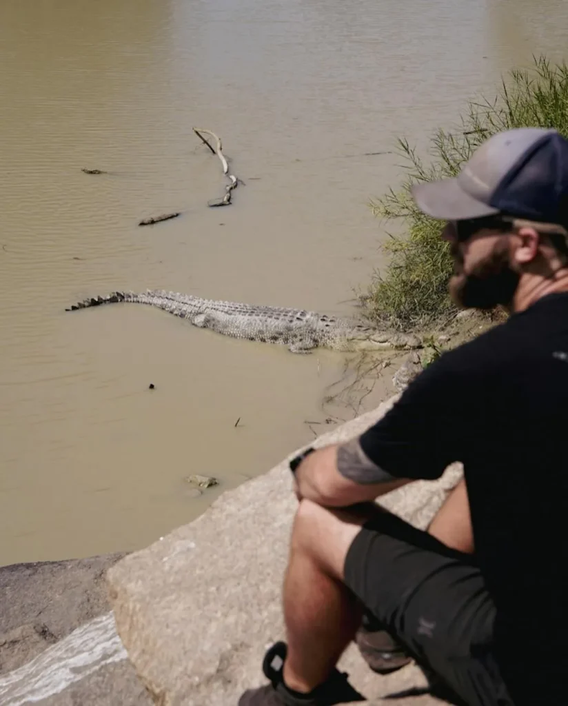 Saltwater crocodiles