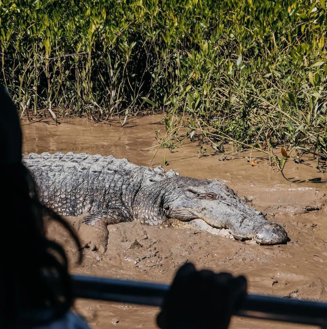 Kerala Seaplane | Can Most Travellers Participate in Jumping Crocodile Cruises? What Really Happens On The Adelaide River