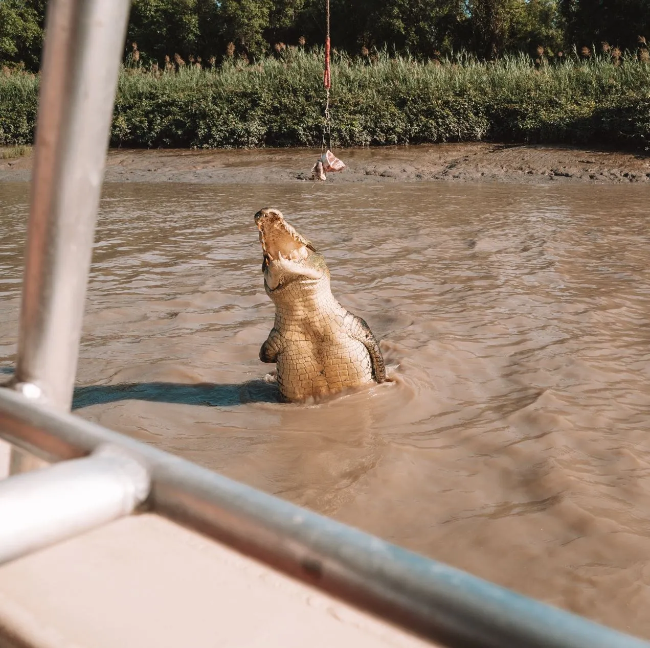 Kerala Seaplane | Can Most Travellers Participate in Jumping Crocodile Cruises? When To Go, How the Seasons Play Out in Real Life