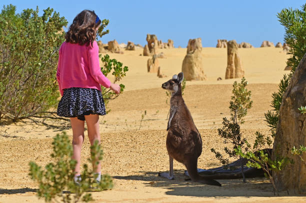 Exploring the Wonders North of Perth: A Sightseeing Guide to Australia’s Hidden Gems