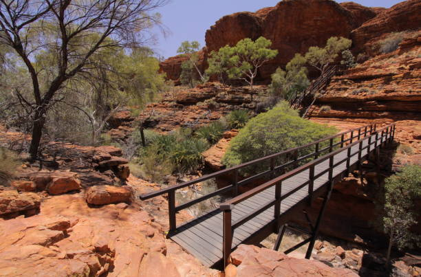 Exploring the Majesty: Guided Excursions from Uluru to Kings Canyon