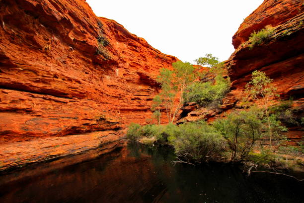 Discover the Serene Beauty of Kings Canyon’s Garden of Eden – Ultimate Hiker’s Guide