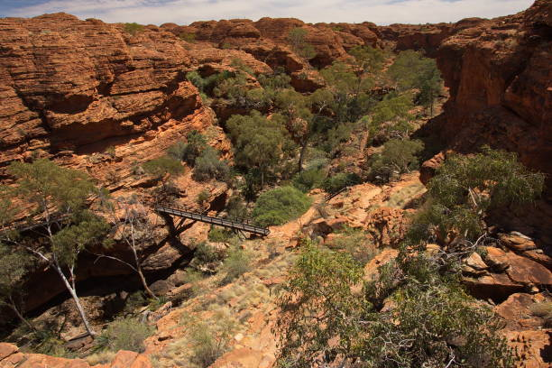 From Uluru to Kings Canyon: Guided Tours through the Heart of Australia
